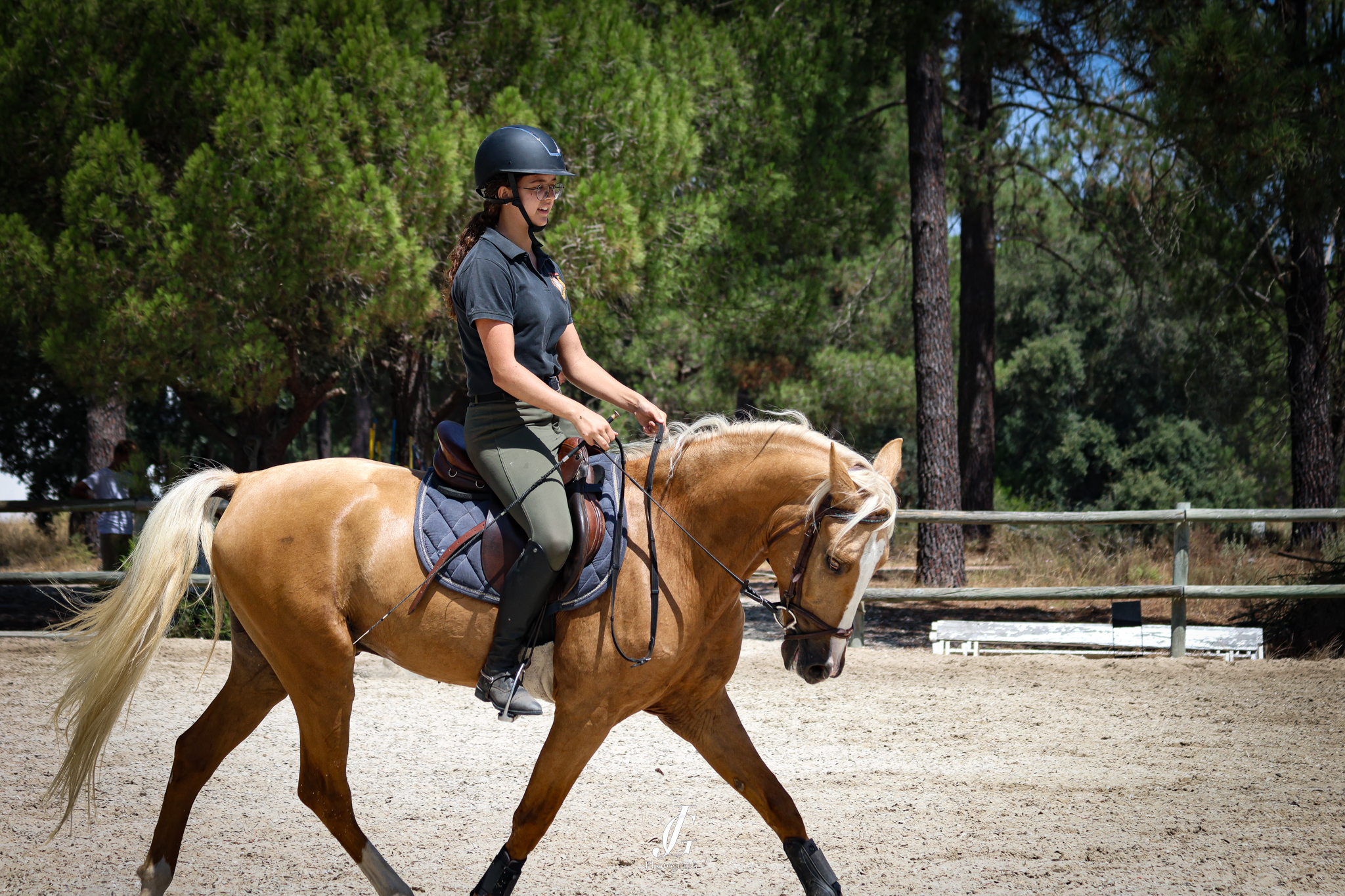 A close-up of a brown horse's head with a bridle